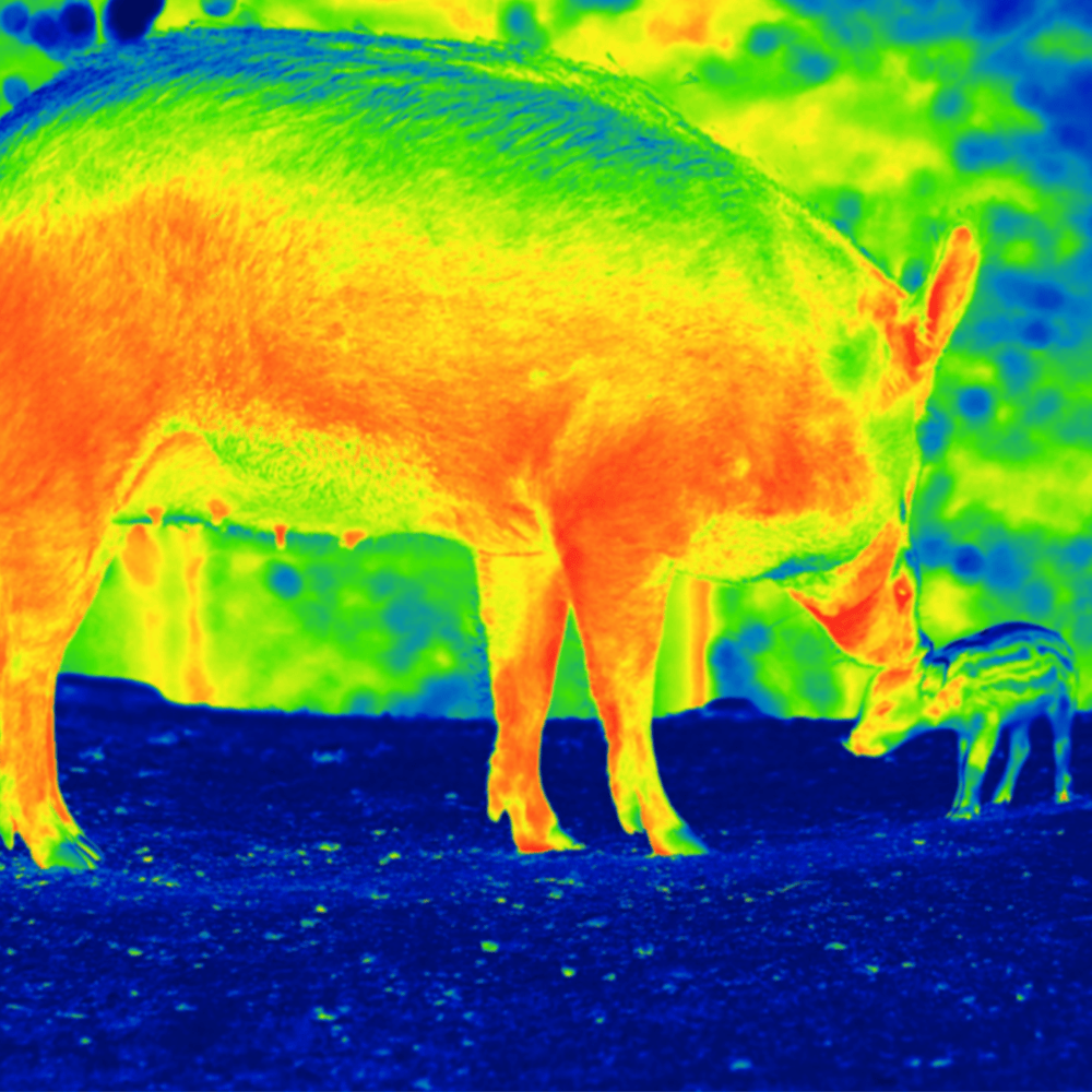 Caméra Thermique Isolation NF-521 Précision | NatureVision NF-521