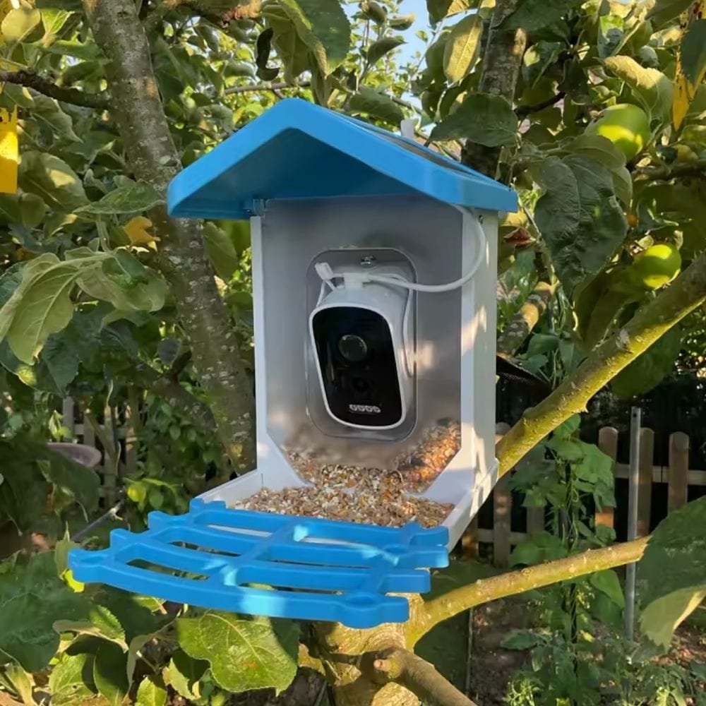 Mangeoire Oiseaux Balcon Compacte & Wifi | NatureVision NatureVision BirdNest