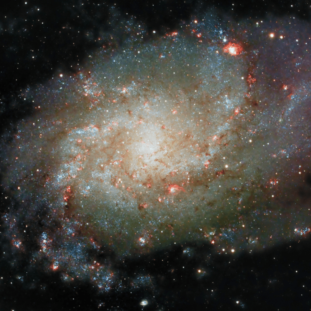 Télescope Enfant Portable & Éducatif | NatureVision