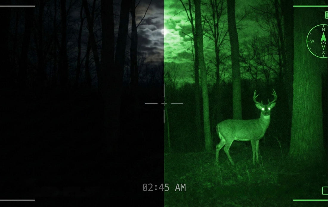 Comparatif meilleures jumelles vision nocturne NatureVision