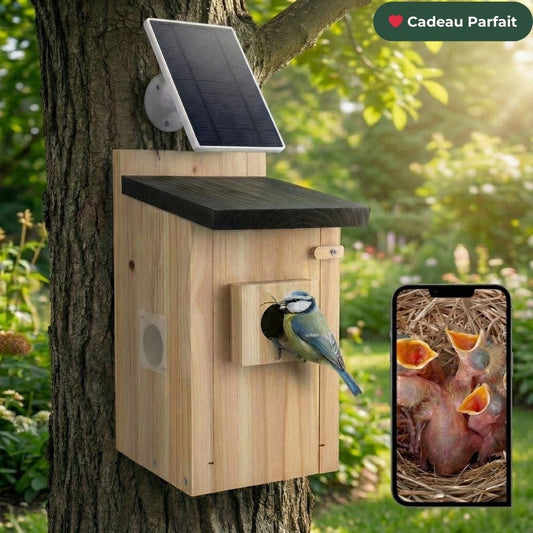 NatureVision SolarNest – Nichoir Caméra Solaire 5MP : Assistez à la Naissance des Oisillons en Direct (Autonomie Solaire)