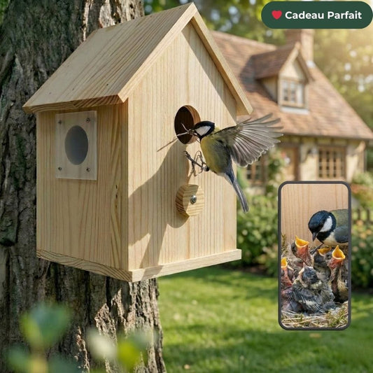 NatureVision NestLife | La Maison pour Oiseaux Extérieur Connectée