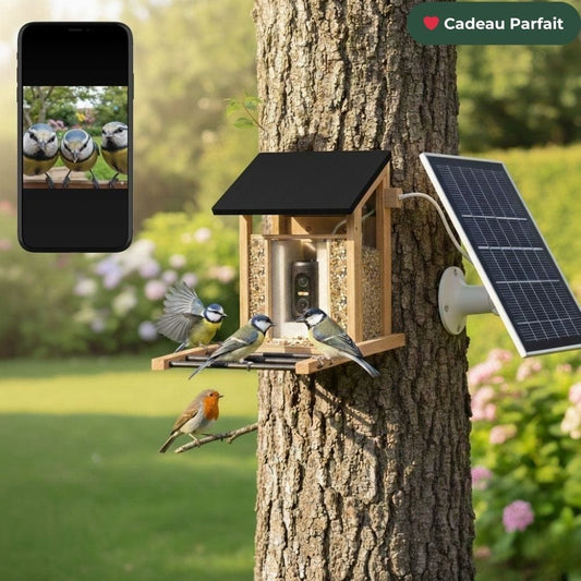 NatureVision SafeBird Protect | Mangeoire pour petit oiseaux Solaire avec Alarme Sonore