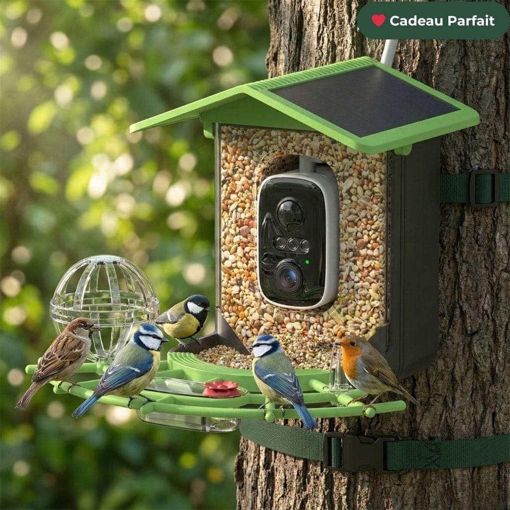 NatureVision VisionAir | Mangeoire Oiseaux Connectée & Éducative : L'IA identifie les espèces pour vous