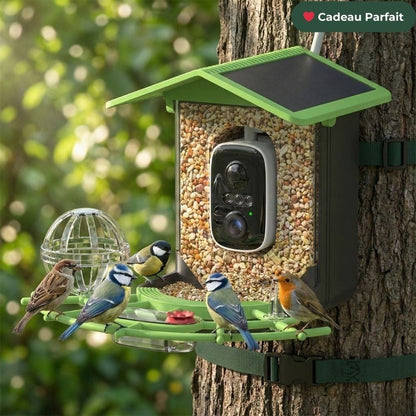 NatureVision VisionAir | Mangeoire Oiseaux Connectée & Éducative : L'IA identifie les espèces pour vous