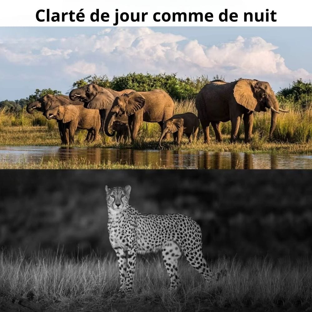 Caméra Chasse avec Alerte SMS/MMS Sans Abonnement | NatureVision NatureVision Sentinel 4G