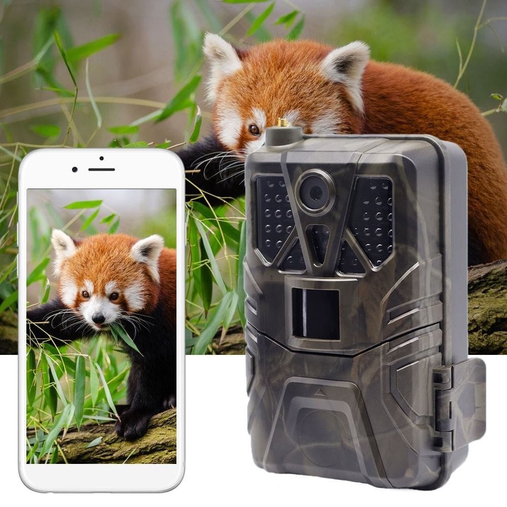 Caméra Chasse avec Alerte SMS/MMS Sans Abonnement | NatureVision NatureVision Sentinel 4G