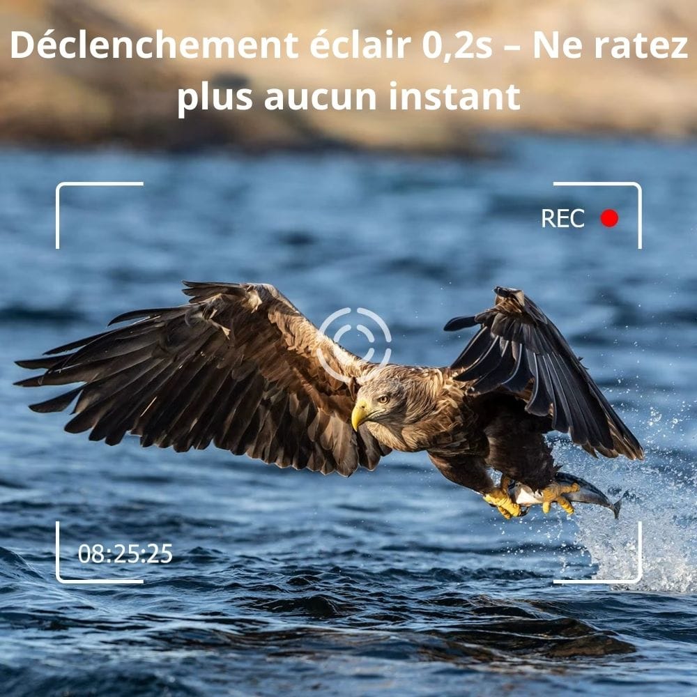 Caméra de Chasse 4G Sans Abonnement | NatureVision NatureVision UltraPro 4G