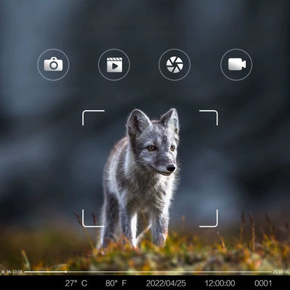 Caméra de Chasse 4G Sans Abonnement | NatureVision NatureVision UltraPro 4G