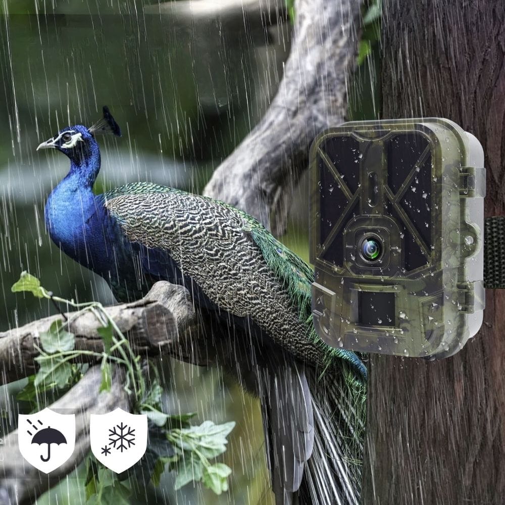 Caméra de Chasse 4G Sans Abonnement | NatureVision NatureVision UltraPro 4G