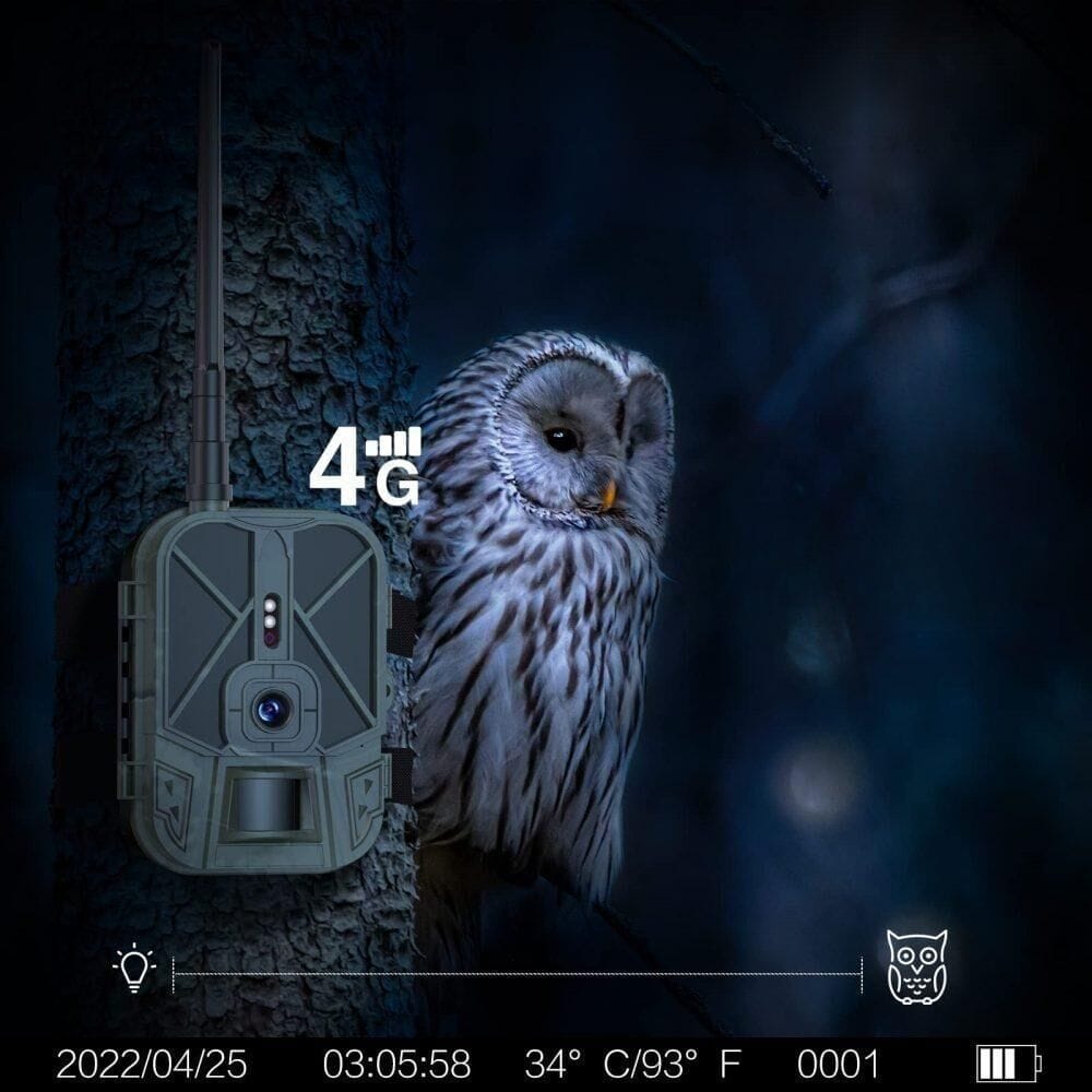 Caméra de Chasse 4G Sans Abonnement | NatureVision NatureVision UltraPro 4G