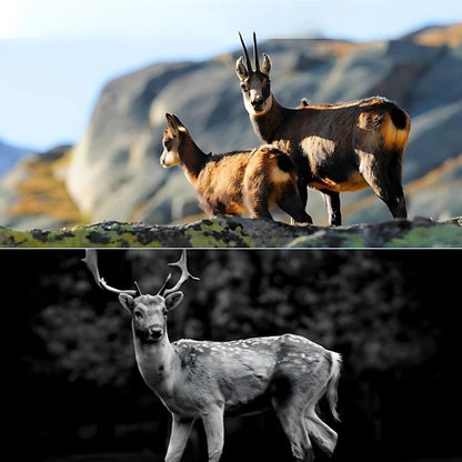 Caméra de Chasse GSM AlertVision 2G | NatureVision NatureVision AlertVision 2G