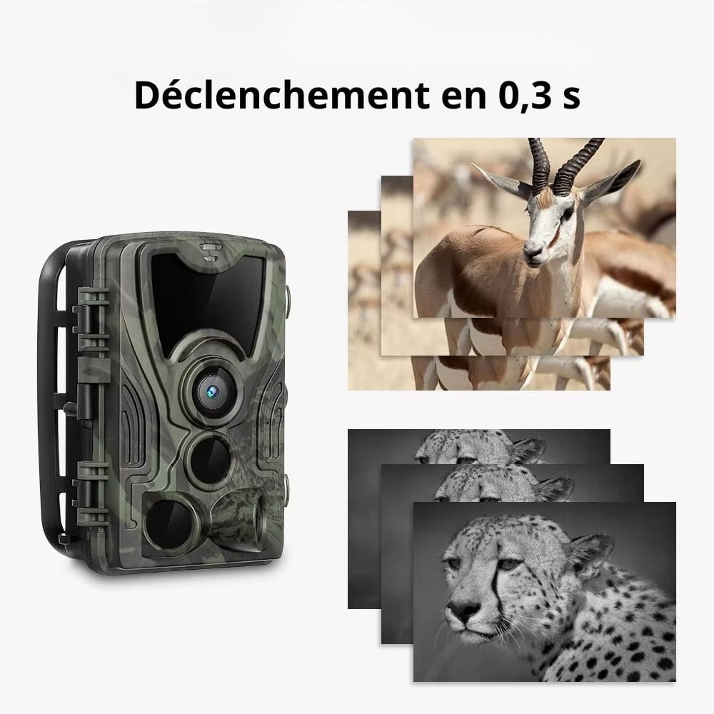 Caméra de Chasse Infrarouge Frontier | NatureVision NatureVision Frontier 20MP