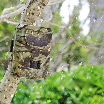 Caméra de Chasse Surveillance Ranger HD | NatureVision NatureVision Ranger HD 12MP