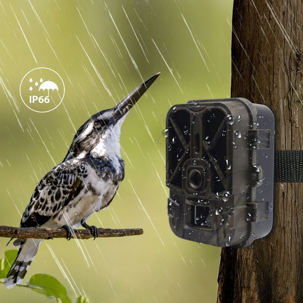 Caméra de Chasse WiFi Tracker 4K UHD | NatureVision NatureVision Tracker 4K