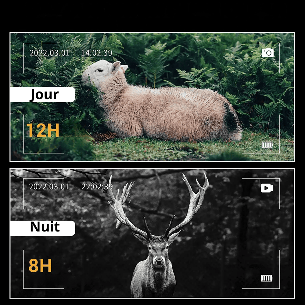 Jumelle Vision Nocturne Puissante Noctura | NatureVision Noctura X10