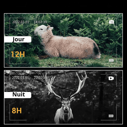 Jumelle Vision Nocturne Puissante Noctura | NatureVision Noctura X10