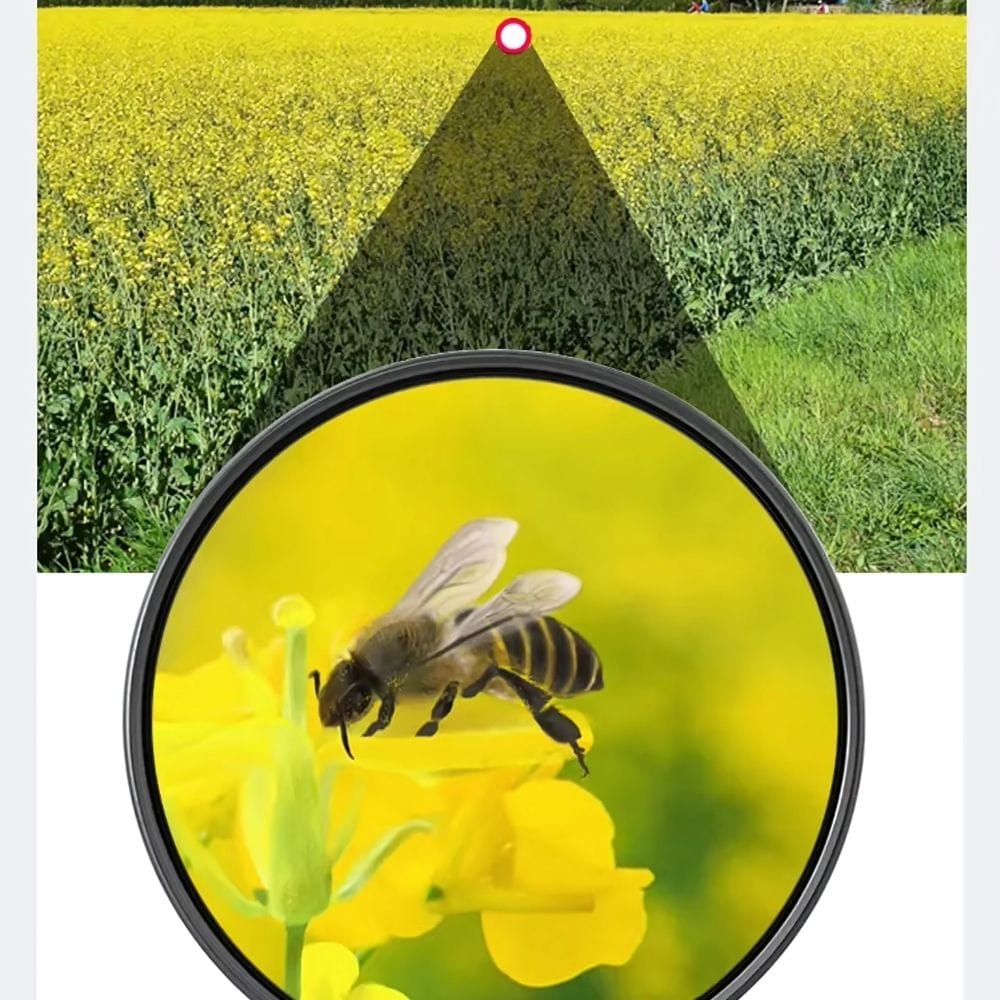 Jumelles Légères Randonnée VisionTrail | NatureVision VISIONTRAIL