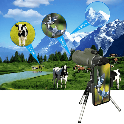 Longue Vue Ornithologie Aigle Nomade | NatureVision