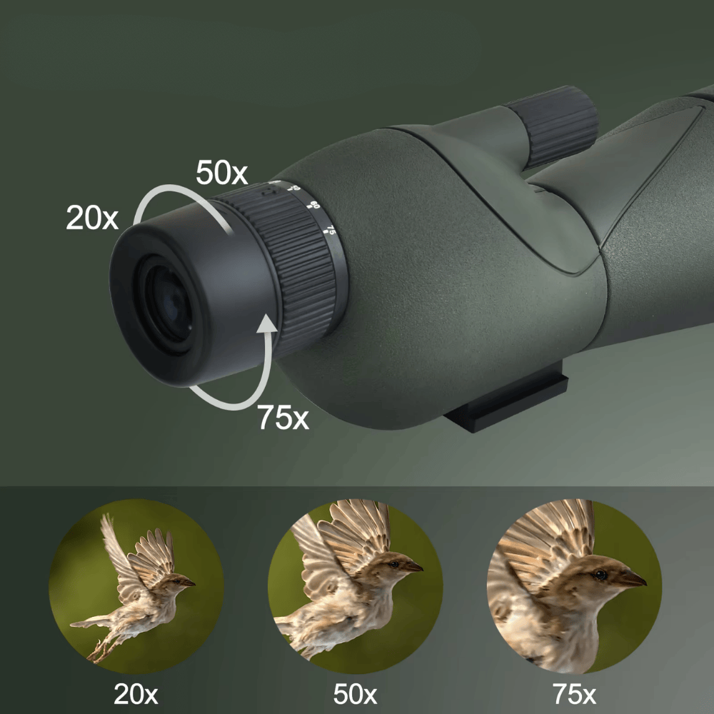 Longue Vue Tir Sportif LynxScope LX60 Pro | NatureVision