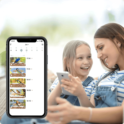 Mangeoire Oiseaux Balcon Compacte & Wifi | NatureVision NatureVision BirdNest