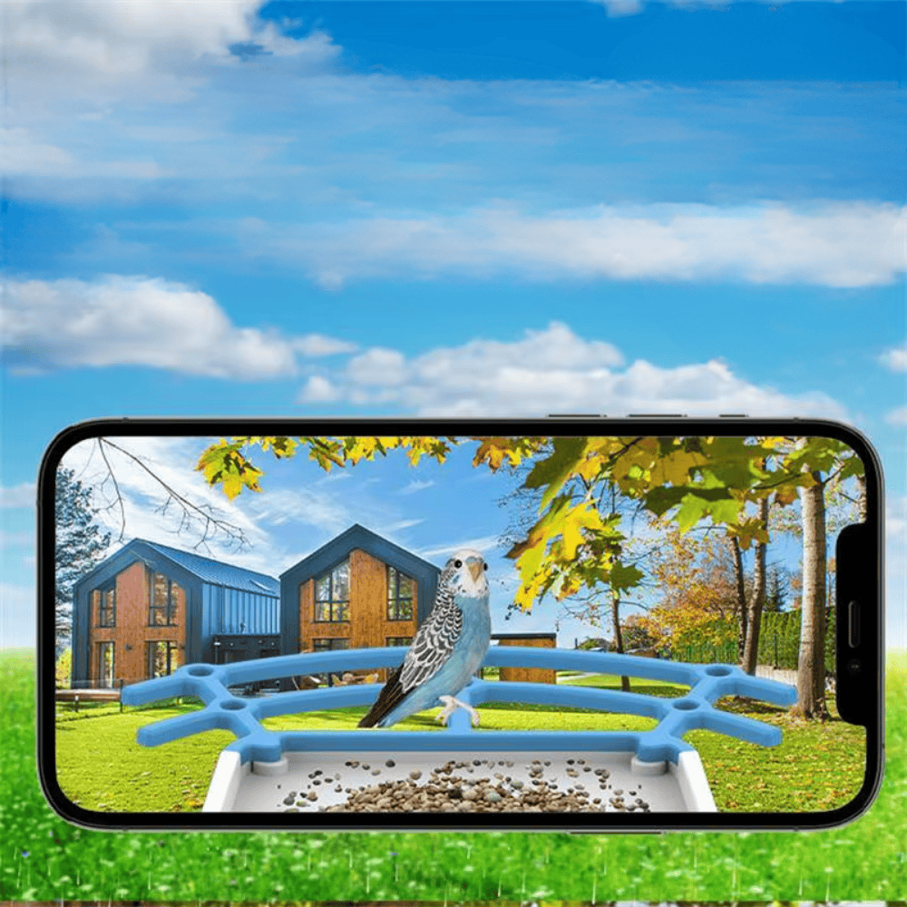 Mangeoire Oiseaux Balcon Compacte & Wifi | NatureVision NatureVision BirdNest