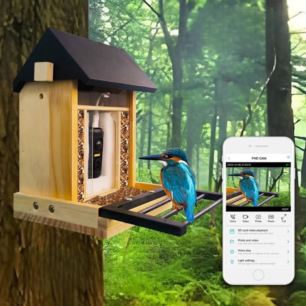 Mangeoire pour petit oiseaux anti pigeon | NatureVision