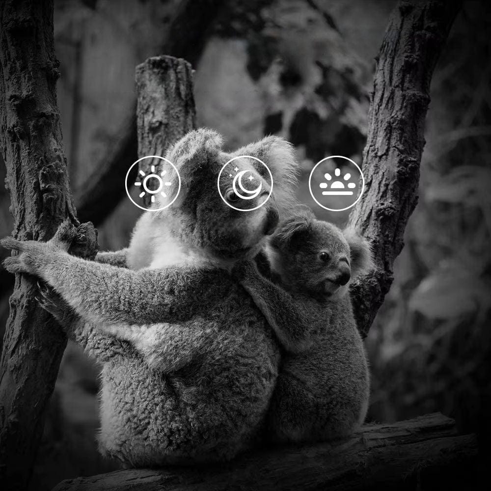 Mini Caméra de Chasse Discrète MiniCam | NatureVision 1x NatureVision MiniCam Stealth