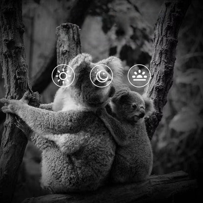 Mini Caméra de Chasse Discrète MiniCam | NatureVision 1x NatureVision MiniCam Stealth