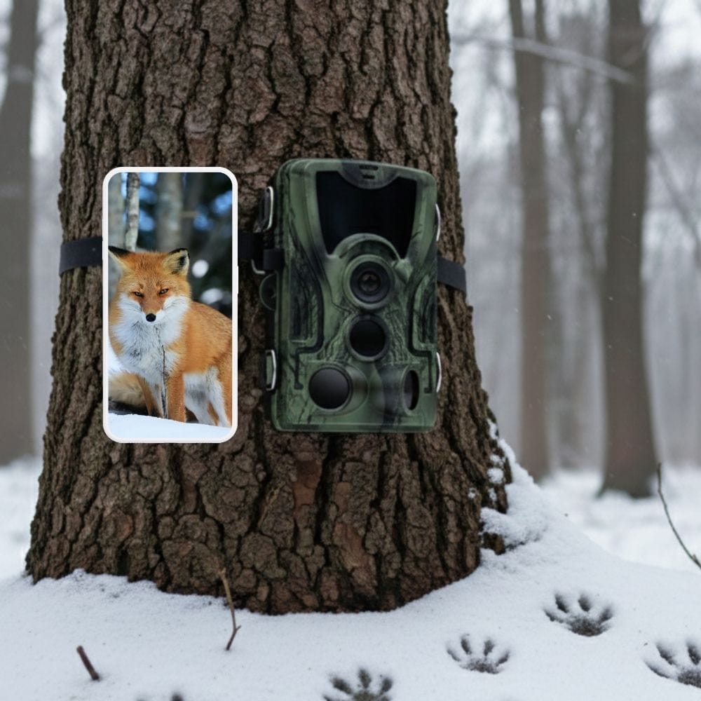 Piège Photo Chasse GuardianCam Robuste | NatureVision NatureVision GuardianCam 4G