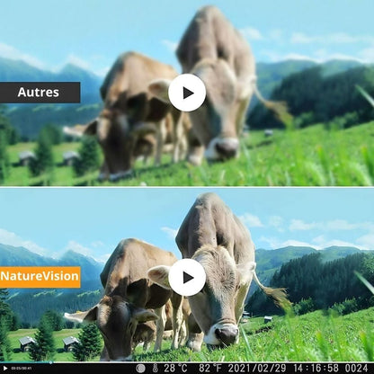 Piège Photo Chasse GuardianCam Robuste | NatureVision NatureVision GuardianCam 4G