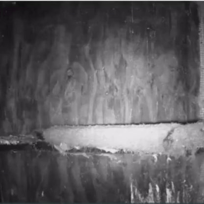 NatureVision MiniCam Stealth – Mini Caméra de Chasse Compacte & Autonome